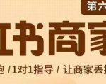 贾真-小红书商家营第6期商家版,21天带货陪跑课,让商家丢掉付流量-水滴知识网