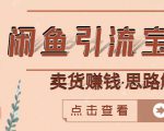 闲鱼引流宝妈粉+卖货赚钱一个月收益30000+(实操视频教程)-水滴知识网