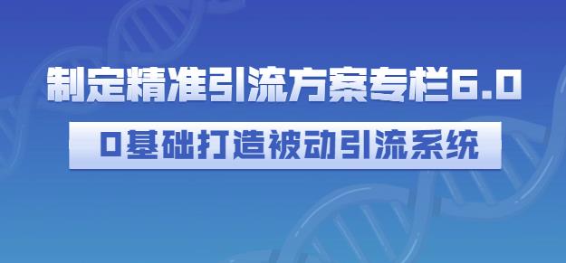 制定精准引流方案专栏6.0,0基础打造被动引流系统-水滴知识网