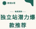 【跨境B哥】独立站潜力爆款选品推荐,测款出单率高达百分之80-水滴知识网