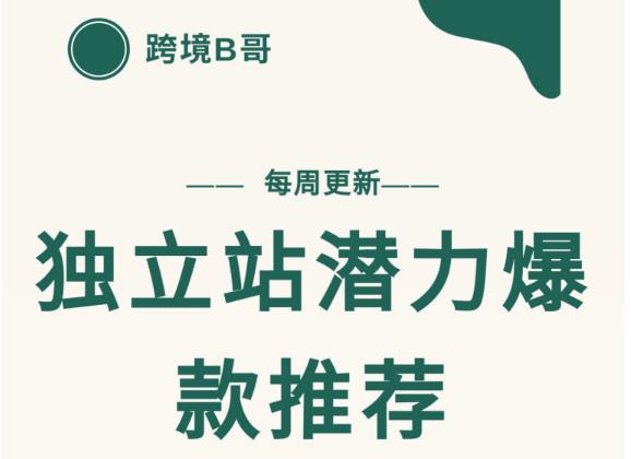 【跨境B哥】独立站潜力爆款选品推荐，测款出单率高达百分之80-水滴知识网