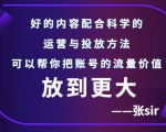 张sir账号流量增长课,告别海王流量,让你的流量更精准-水滴知识网