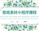 闪闪壁纸号运营教程,抓住图文风口,快速吸粉变现-水滴知识网