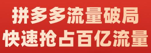阿杰·拼多多流量破局:如何打黑标,爆款的思路,拼多多流量框架,快速抢占百亿流量-水滴知识网
