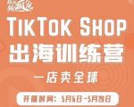 疯人院:TikTok Shop出海训练营（一店卖全球)，出海抢占全球新流量-水滴知识网