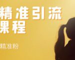 soul精准引流系列课程,每天引流100精准粉-水滴知识网