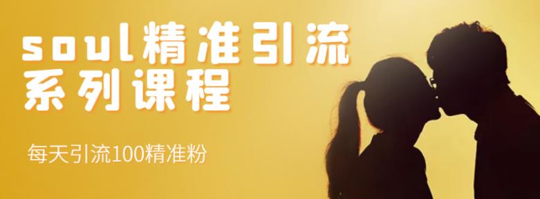 soul精准引流系列课程,每天引流100精准粉-水滴知识网