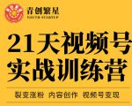 张萌21天视频号实战训练营,裂变涨粉、内容创作、视频号变现 价值298元-水滴知识网