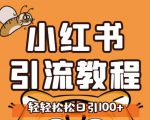 小红书运营引流全系列课程,每天引流100精准粉-水滴知识网