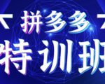 星雪教育·拼多多基础班+进阶班+突破班,用系统的学习模式快速改变现状价值3580元-水滴知识网