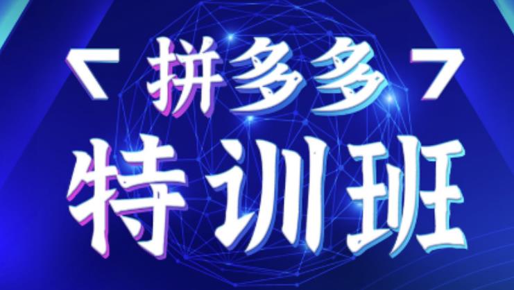 星雪教育·拼多多基础班+进阶班+突破班,用系统的学习模式快速改变现状价值3580元-水滴知识网