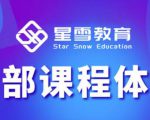 星雪教育淘系高级班,更全的运营提升方案,零基础由浅入深,店铺最新玩法-水滴知识网
