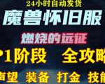 最新美服-怀旧服魔兽搬砖攻略，练级声望装备打金副本技能赚钱攻略-水滴知识网