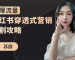 苏歆:小红书穿透式营销收割攻略,引爆流量,助你玩转小红书-水滴知识网