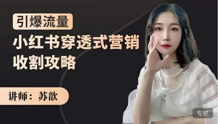 苏歆:小红书穿透式营销收割攻略,引爆流量,助你玩转小红书-水滴知识网