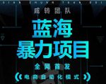 引流哥蓝海暴力躺赚项目：无需发圈无需引流无需售后，每单赚50-500（教程+线报群)-水滴知识网