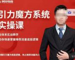 阿呆-引力魔方系统实操课,全体系实战教学,助你快速掌握推荐流量底层逻辑-水滴知识网