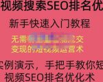 宋老师·短视频搜索SEO优化，教你10分钟创作一个短视频，三天排名上第一-水滴知识网