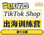 TikTokShop出海训练营(第十三期),打开全球流量新思维,出海抢占全球新流量,一店卖全球-水滴知识网