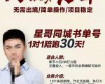 星哥同城教育书单号课程，无需出境简单操作项目稳定-水滴知识网