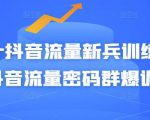 Peter抖音流量新兵训练营-破解抖音流量密码群爆训练营(新兵)-水滴知识网