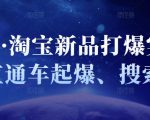 凌童·淘宝新品打爆实战班，直通车起爆、搜索起爆-水滴知识网