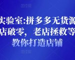 野路子实验室:拼多多无货源店群项目,新店破零,老店拯救等全方位教你打造店铺-水滴知识网