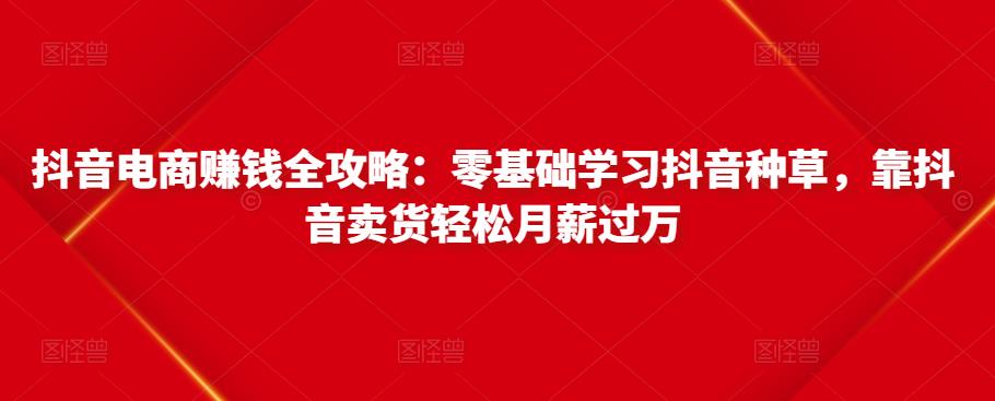 抖音电商赚钱全攻略:零基础学习抖音种草,靠抖音卖货轻松月薪过万-水滴知识网