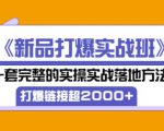 凌童《新品打爆实战班》,一套完整的实操实战落地方法,打爆链接超2000+(28节课)-水滴知识网