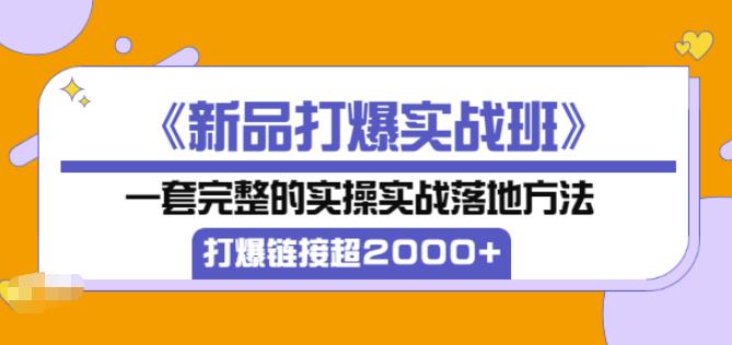 凌童《新品打爆实战班》,一套完整的实操实战落地方法,打爆链接超2000+(28节课)-水滴知识网