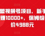 猎人联盟视频号项目，新手0基础轻松月赚10000+，保姆级教程原价4988元-水滴知识网