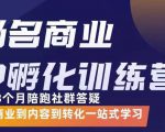 杨名商业IP孵化训练营，从商业到内容到转化一站式学 价值5980元-水滴知识网