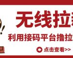最新接码无限拉新项目,利用接码平台赚拉新平台差价,轻松日赚500+-水滴知识网