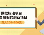 副业赚钱:人工智能数据标注项目,简单易上手,小白也能日入200+-水滴知识网