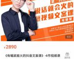 《有嘴能就火的抖文音案课》第八十期升级版,让会不写文案的人,写出一可篇传播的完文整案-水滴知识网