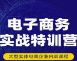 民赛电气内部出品：电子商务实战特训营，全方位带你入门电商，308种方式玩转电商-水滴知识网