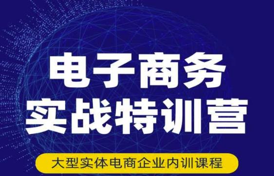 民赛电气内部出品：电子商务实战特训营，全方位带你入门电商，308种方式玩转电商-水滴知识网