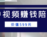 中视频赚钱陪跑,卖中视频账户赚钱收益陪跑项目(价值599元)-水滴知识网