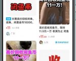 闲鱼挂机单号3元/天，每天仅需2分钟，可无限放大，稳定长久挂机项目！-水滴知识网