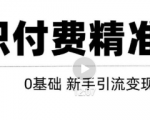 玩转知识付费项目精准引流,给你1套课多账号操作落地方案!-水滴知识网