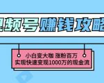 玩转微信视频号赚钱：小白变大咖涨粉百万实现快速变现1000万的现金流-水滴知识网