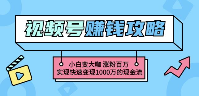 玩转微信视频号赚钱:小白变大咖涨粉百万实现快速变现1000万的现金流-水滴知识网