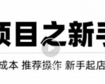 虚拟项目快速起店模式,0成本打造月入几万虚拟店铺!-水滴知识网