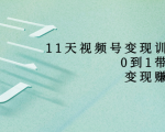 11天视频号变现训练营，从0到1打造变现赚钱系统（价值398元）-水滴知识网