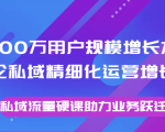 8000万用户规模增长方法论私域精细化运营增长,私域流量硬课助力业务跃迁-水滴知识网