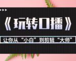 月营业额700万+大佬教您《玩转口播》让你从“小白”到剪辑“大师”-水滴知识网