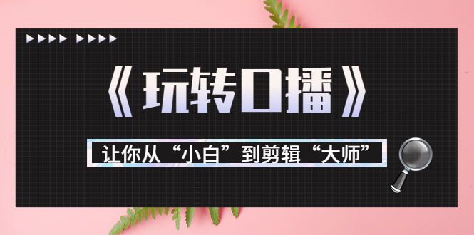 月营业额700万+大佬教您《玩转口播》让你从“小白”到剪辑“大师”-水滴知识网