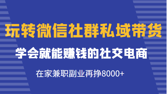 玩转微信社群私域带货,学会就能赚钱的社交电商,在家兼职副业再挣8000+-水滴知识网