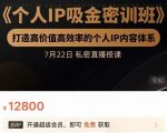 个人IP吸金密训班,打造高价值高效率的个人IP内容体系(价值12800元)-水滴知识网