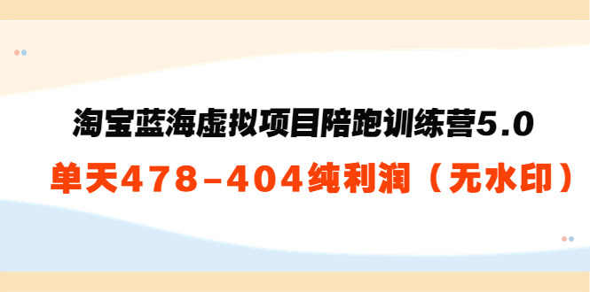 淘宝蓝海虚拟项目陪跑训练营5.0：单天478纯利润-水滴知识网